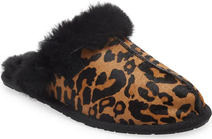Scuffette II Slipper | Nordstrom