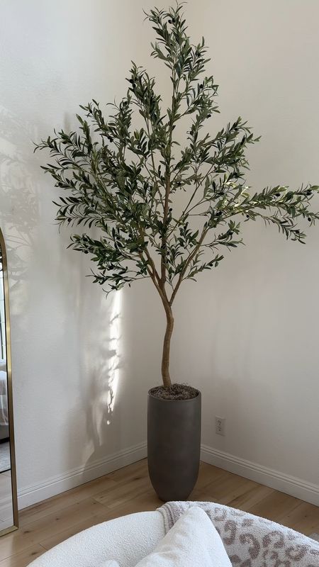 This 8ft olive tree from Amazon is stunning! 

Home decor | home | Amazon home | home styling | 

#LTKstyletip #LTKVideo #LTKhome