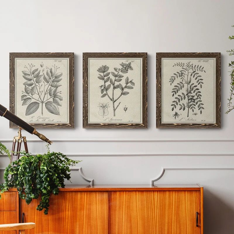 Antique Black and White Botanical VII - 3 Piece Picture Frame Drawing Print Set on Canvas | Wayfair North America