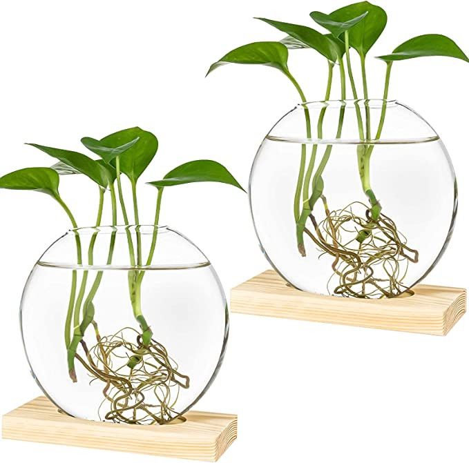 Kingbuy Desktop Round Glass Planter Terrarium Flower Vase with Wooden Stand for Propagation Hydro... | Amazon (US)