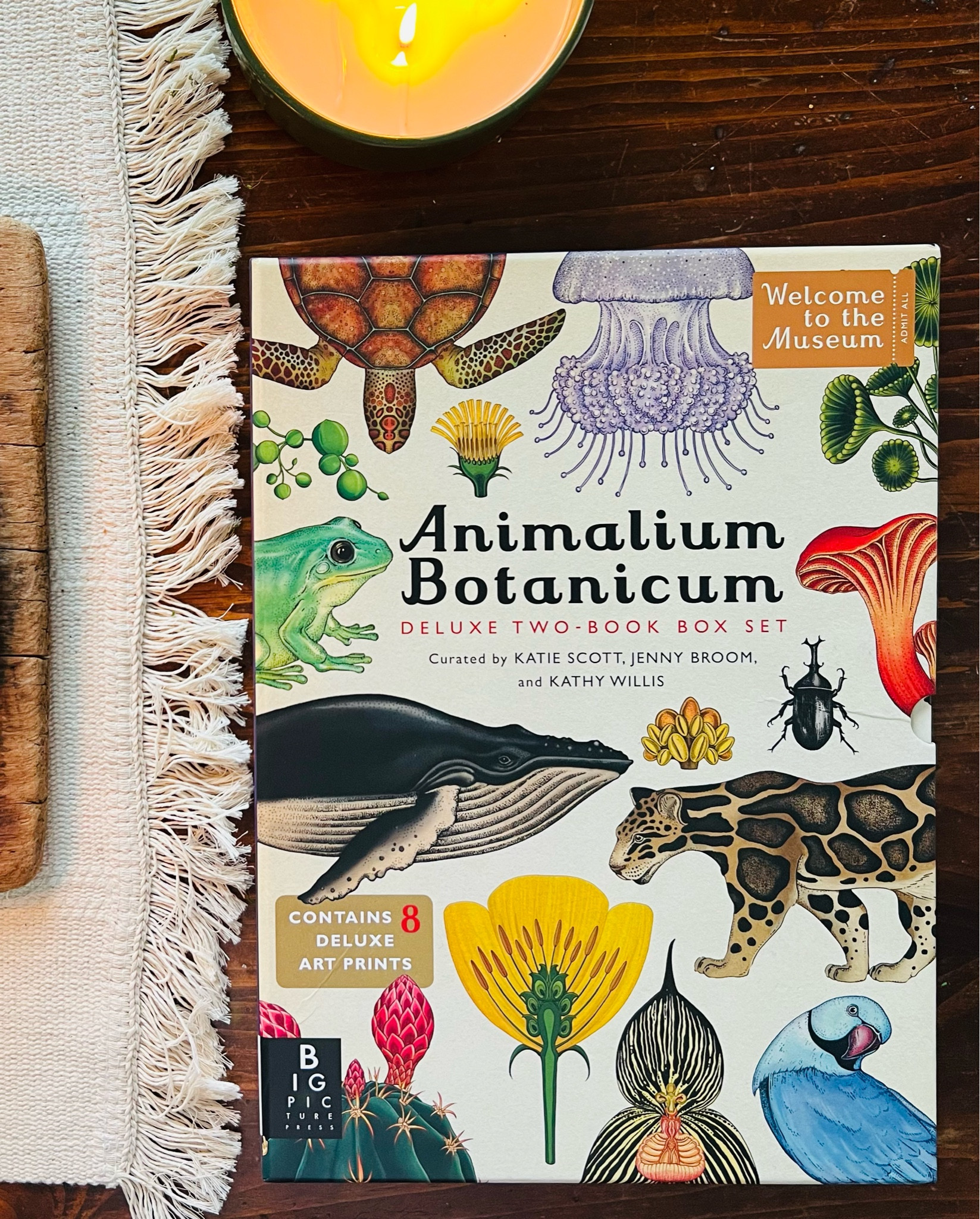 These books have the most beautiful vintage inspired graphics - great for a coffee table read!  Also, the postcard and posters are great for framing! 

#LTKhome