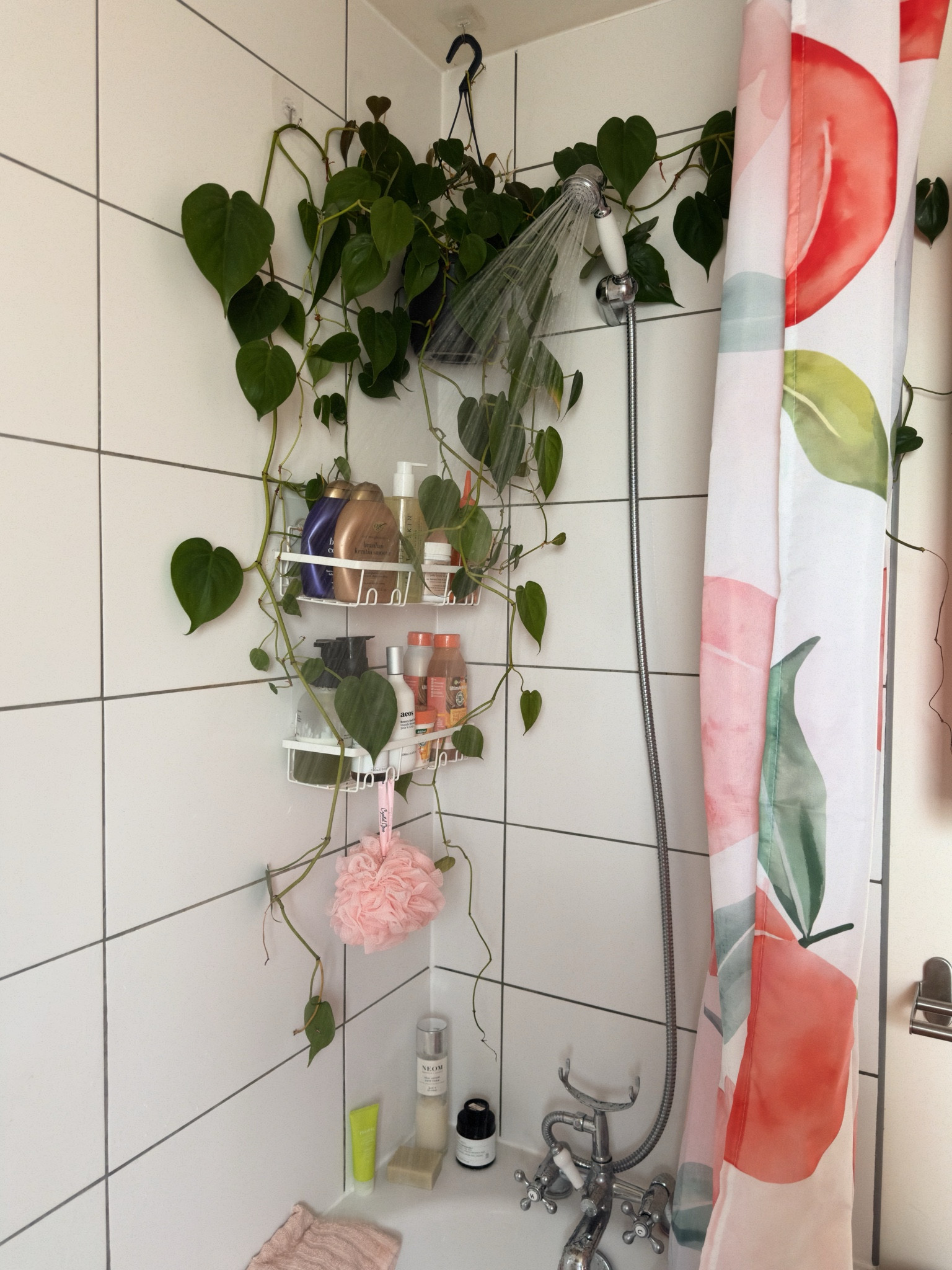 Bathroom 

#LTKhome