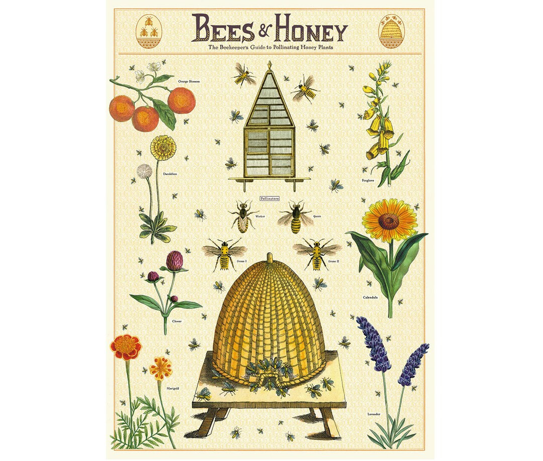 Cavallini Poster – Bees & Honey - Vintage Wall Print - Choose from Multiple Designs! | Etsy (US)
