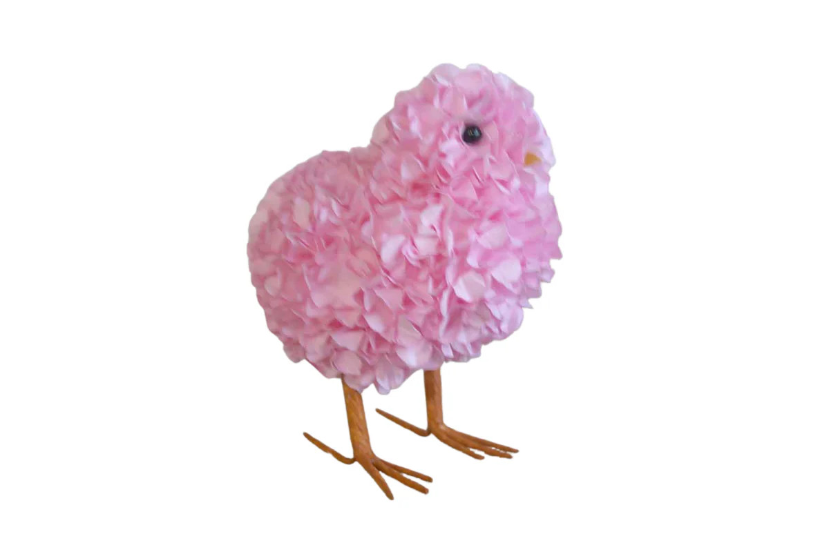 Hydrangea Chick | Lucy's Market