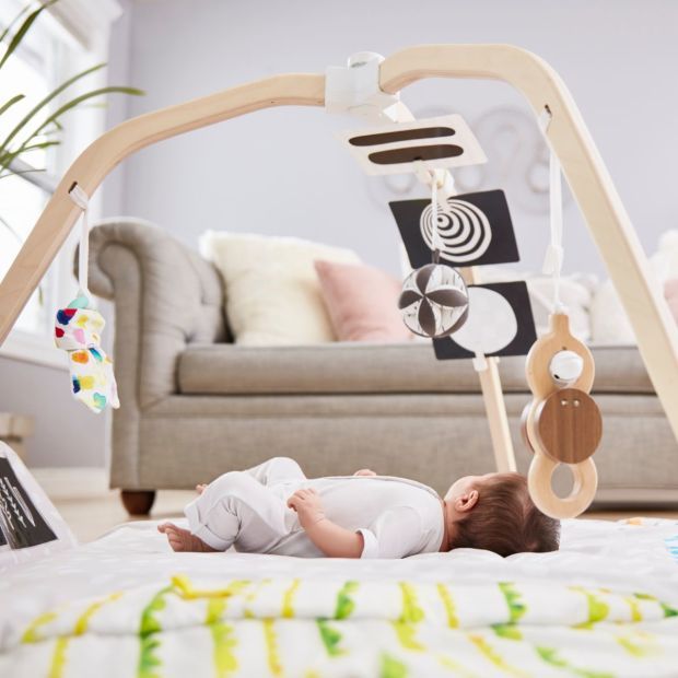 The Play Gym | Babylist