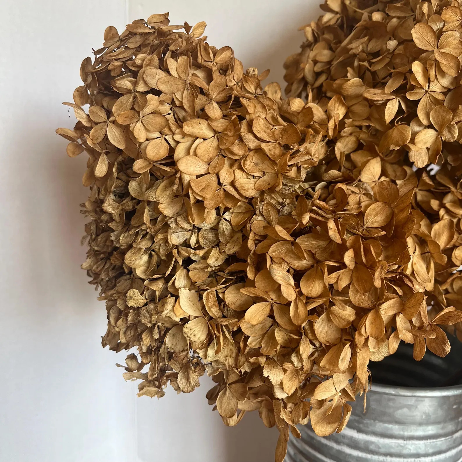 Dried Hydrangea Flowers ~ Very Rustic | Etsy (Global)