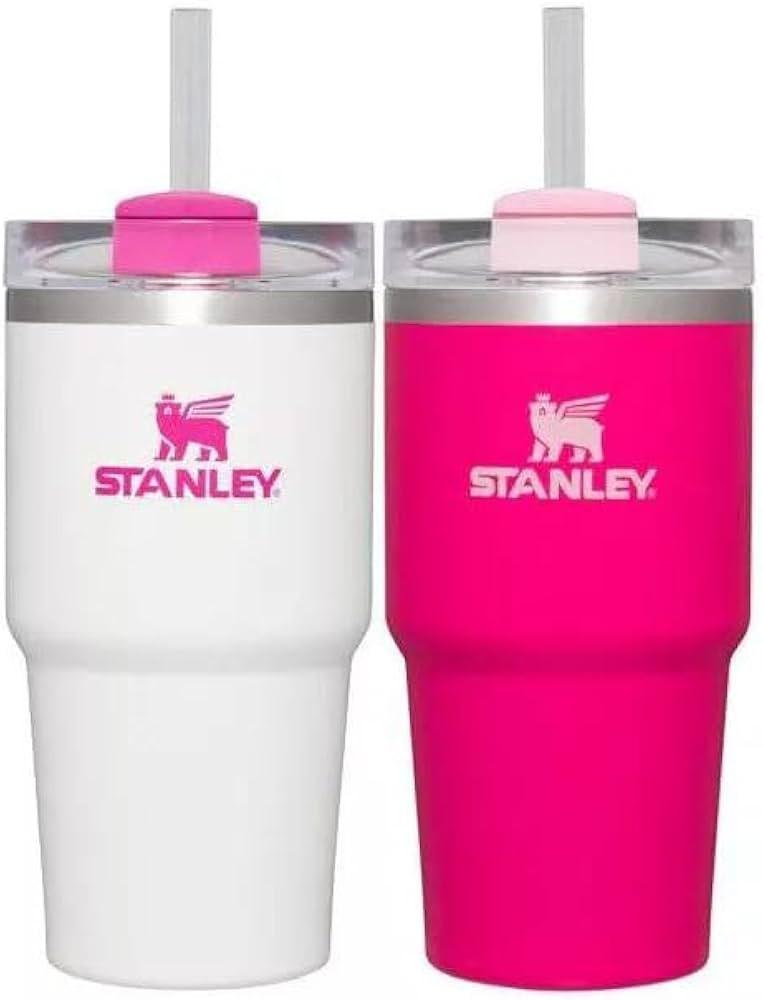 Stanley 2pk 20oz Stainless Steel H2.0 Flowstate Quencher Tumblers | Amazon (US)