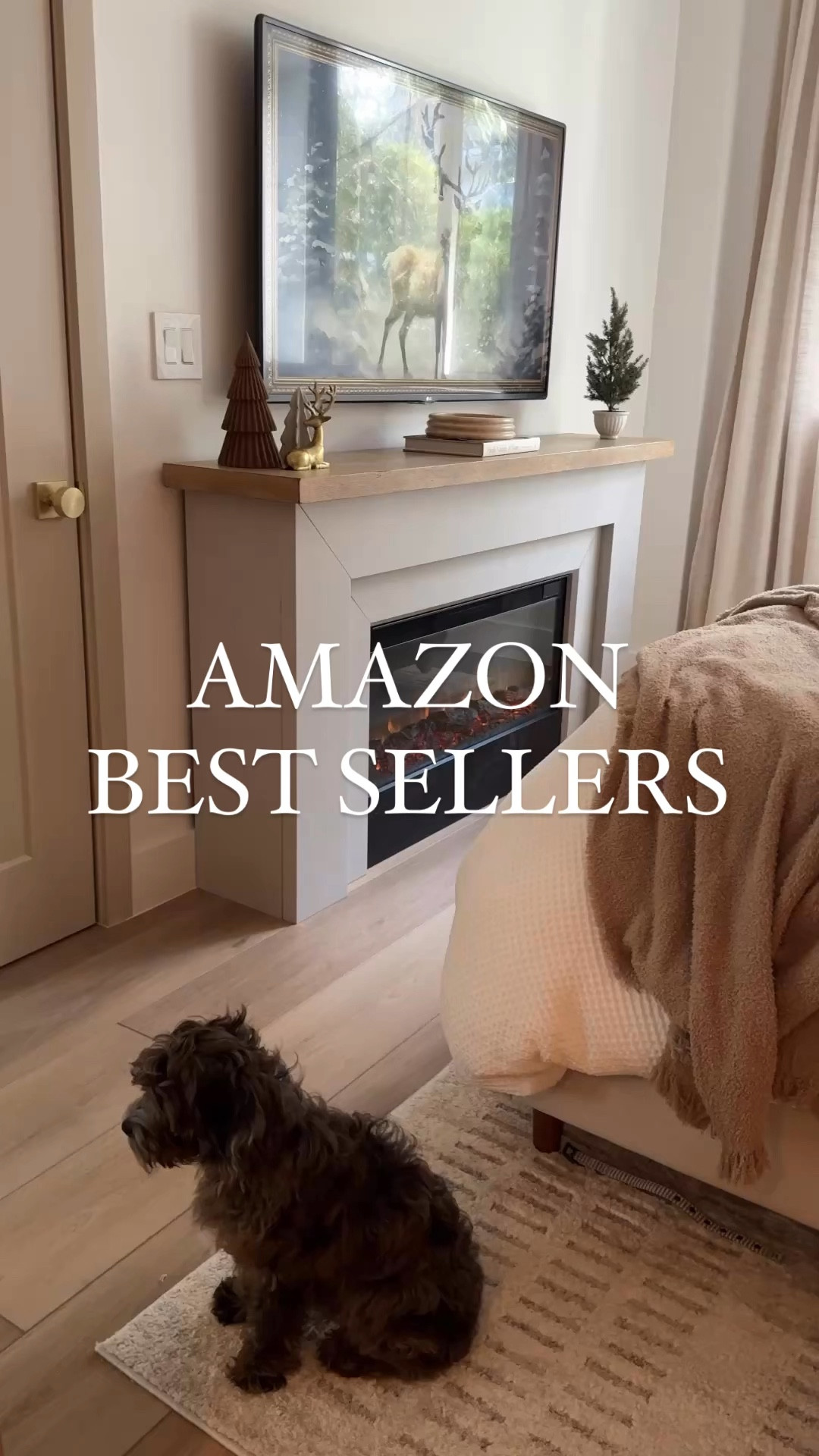 Tried and true Amazon best sellers in my home! 

#LTKHome