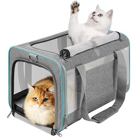 BurgeonNest Cat Carrier for Large Cats 20 lbs, Soft-Sided Pet Carrier for Small Dogs Medium Cats ... | Amazon (US)