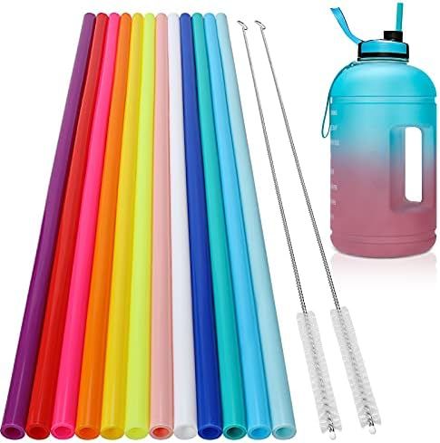 12 Pack, Extra Long 14.5 inch Reusable Silicone Straws for Large Water Bottle -Wine Bottle - 1 Ga... | Amazon (US)