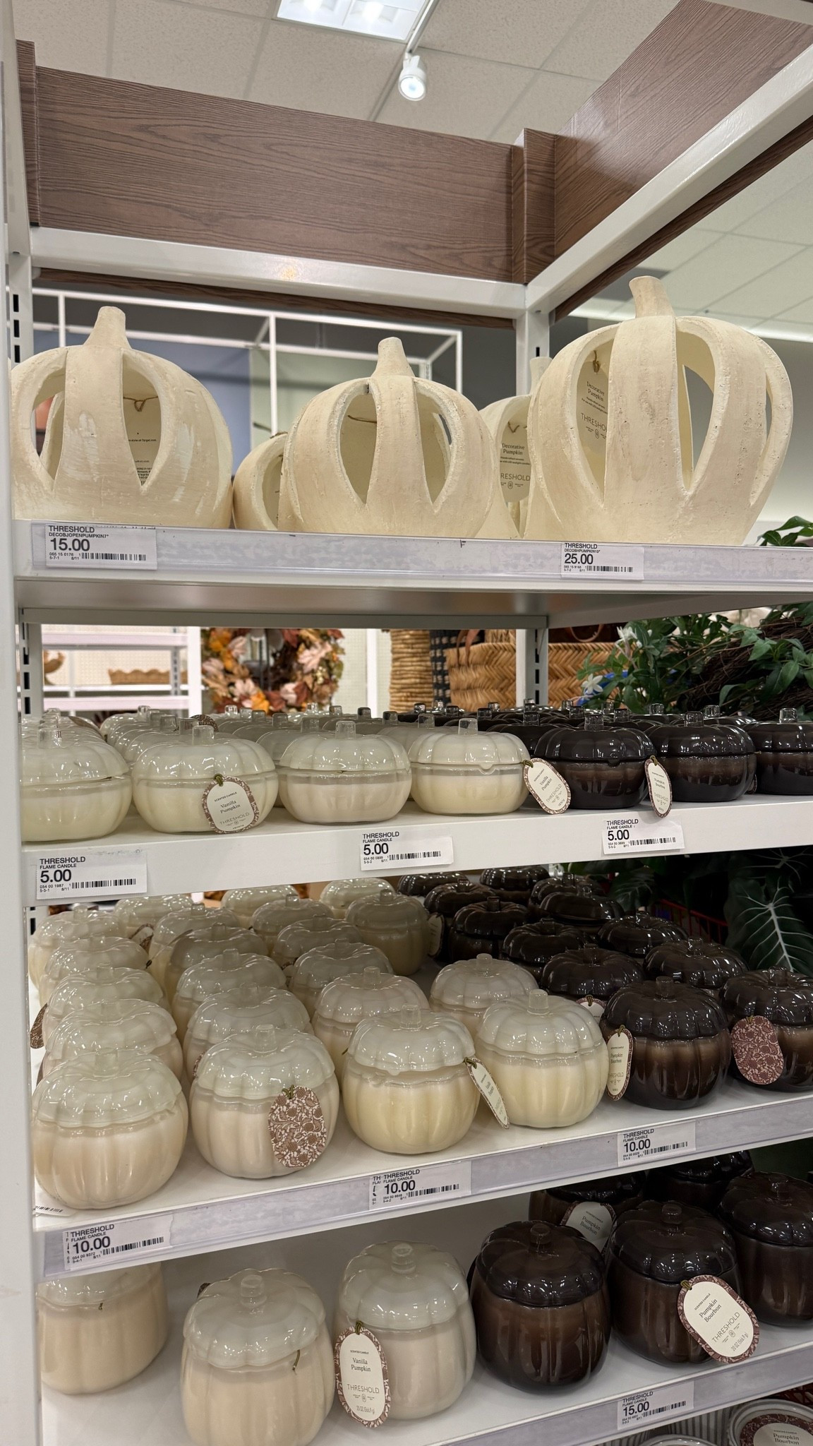 Target pumpkins that look like Pottery Barn!

#LTKHome