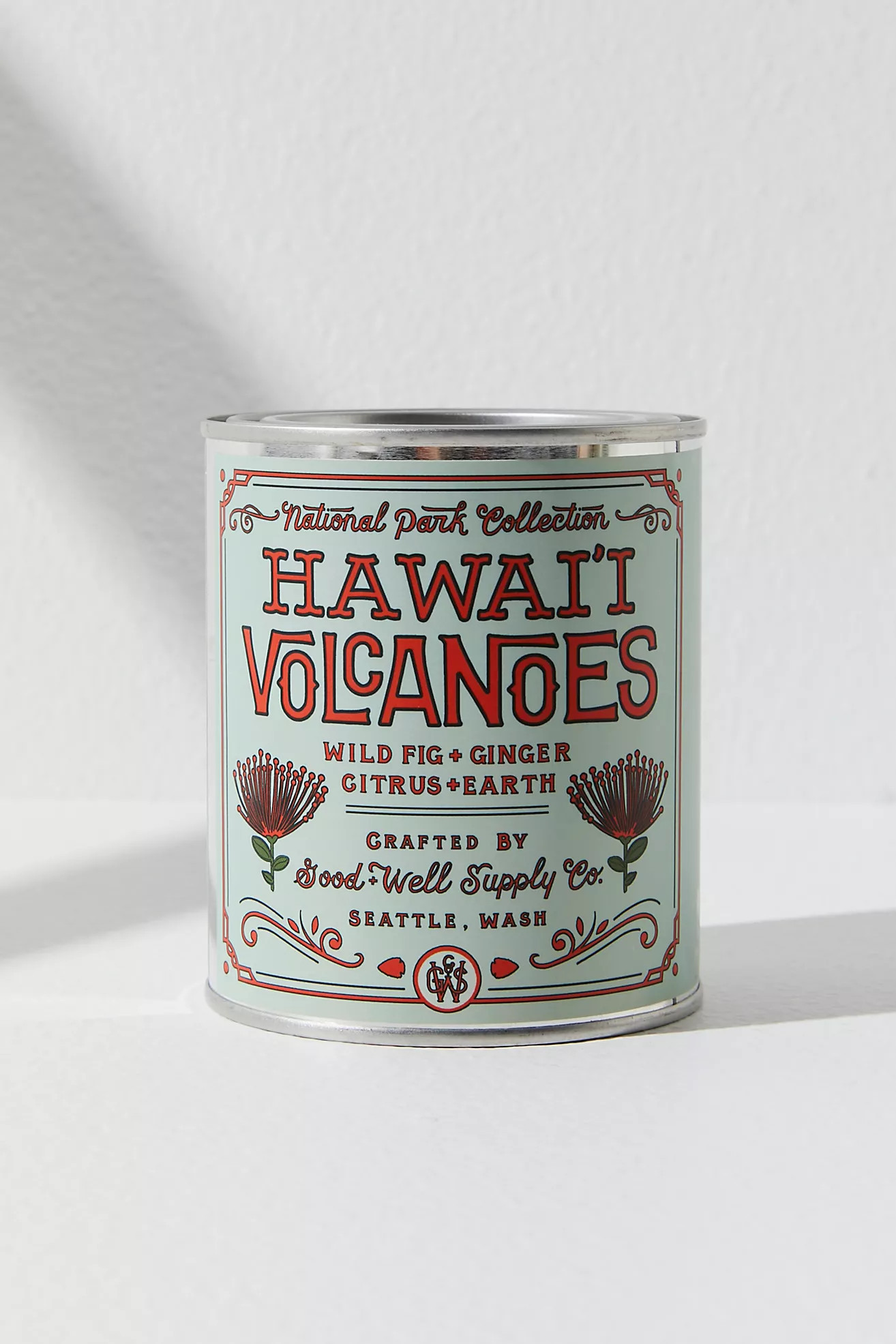 Good & Well National Parks Candle | Free People (Global - UK&FR Excluded)