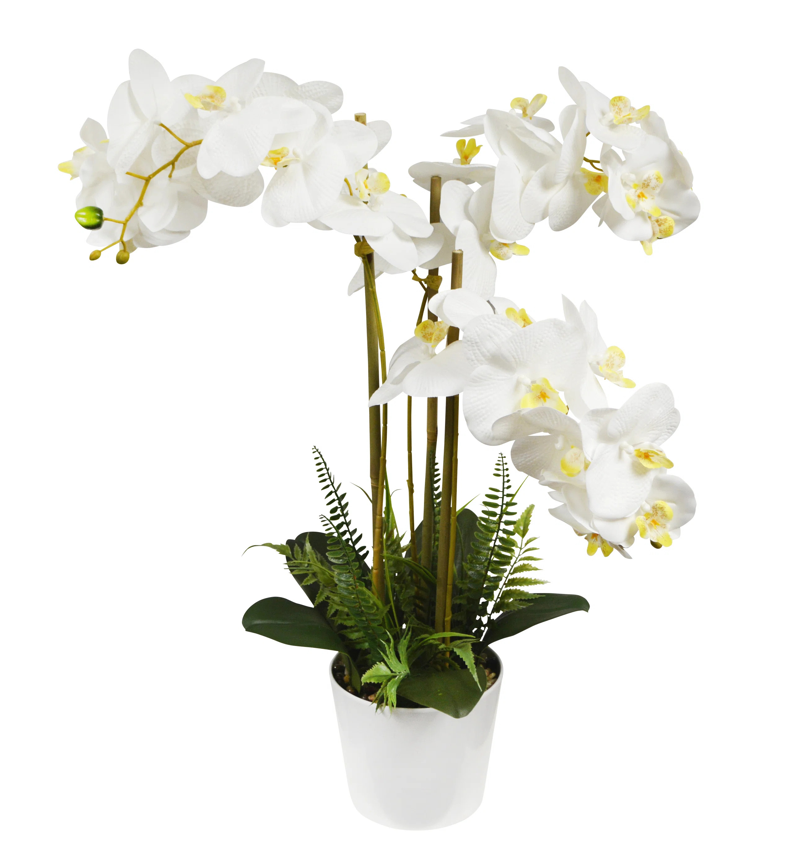 Silk Orchid Arrangement in Vase | Wayfair North America