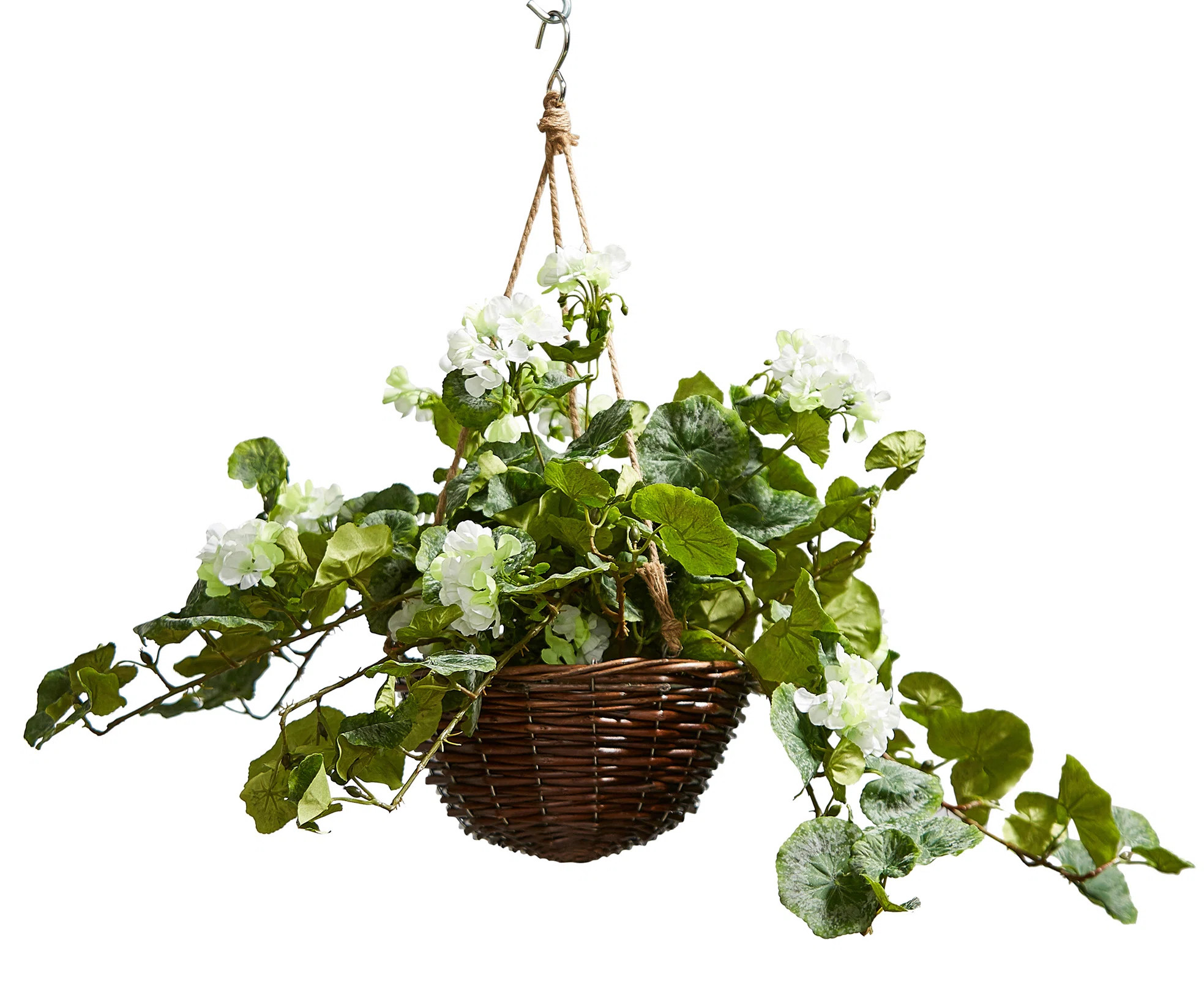 Geranium Hanging Basket Arrangement in Basket | Wayfair North America