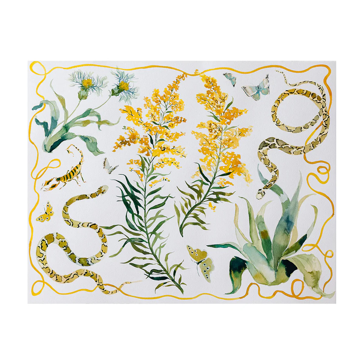 Goldenrod Texas Wildflower Print | Over The Moon