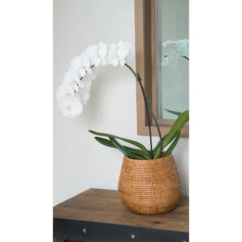Everard Rattan Cachepot | Wayfair North America