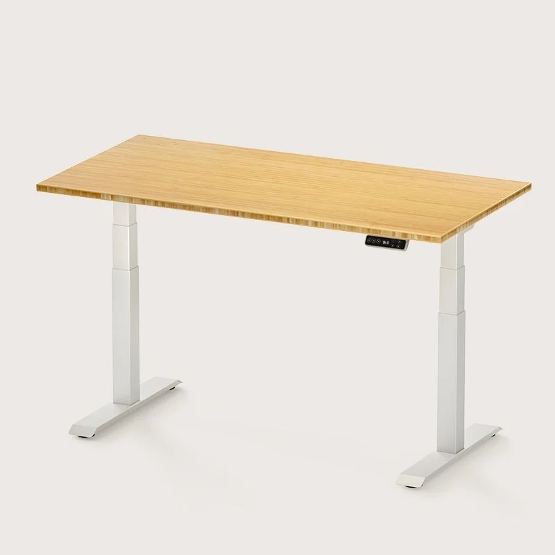 Pro Plus Standing Desk (E7) | FlexiSpot