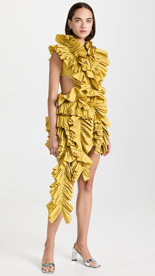 AKNVAS Olive Dress | SHOPBOP | Shopbop