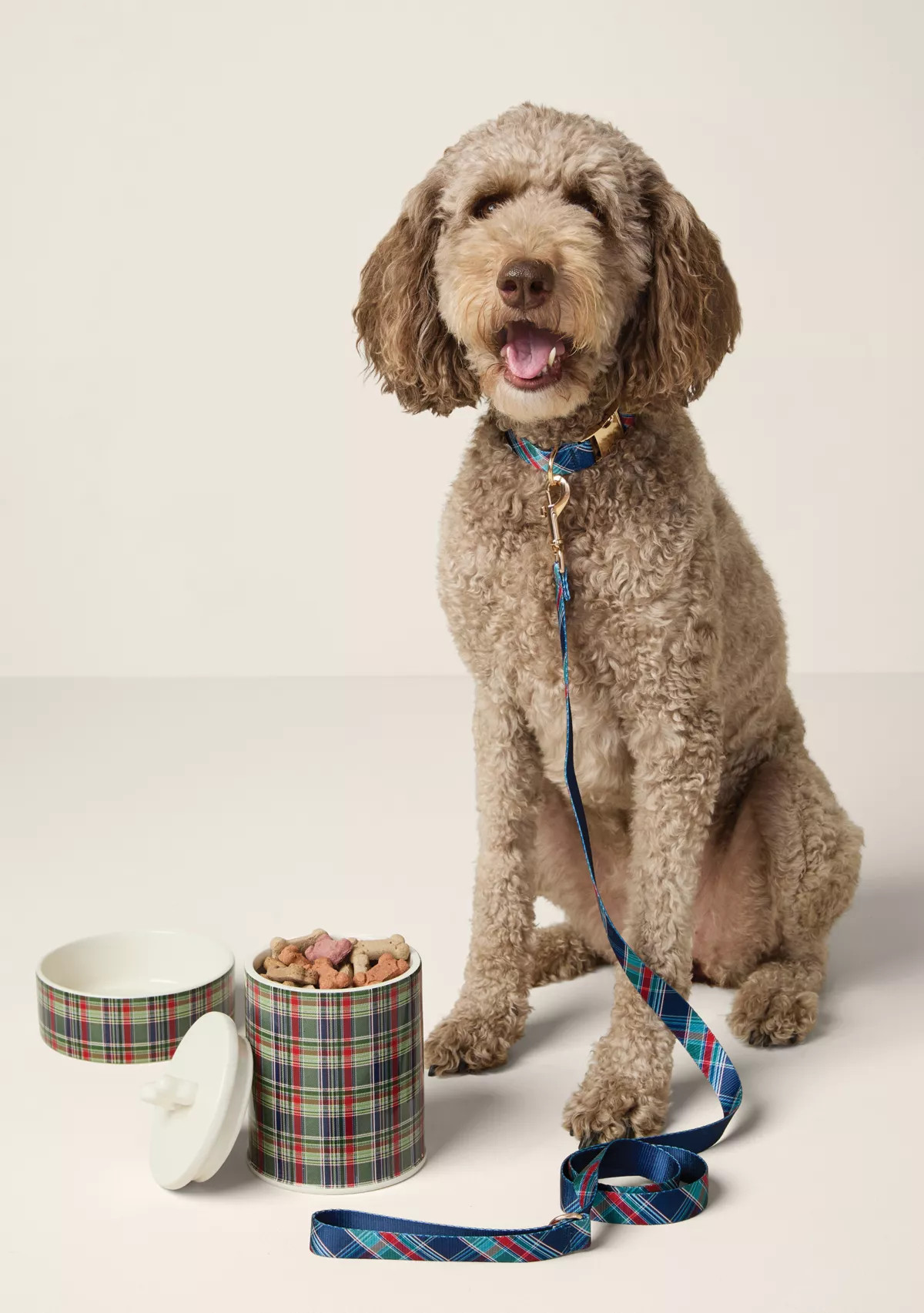 Sewing Down South x Crown & Ivy™ Plaid Pet Canister | Belk