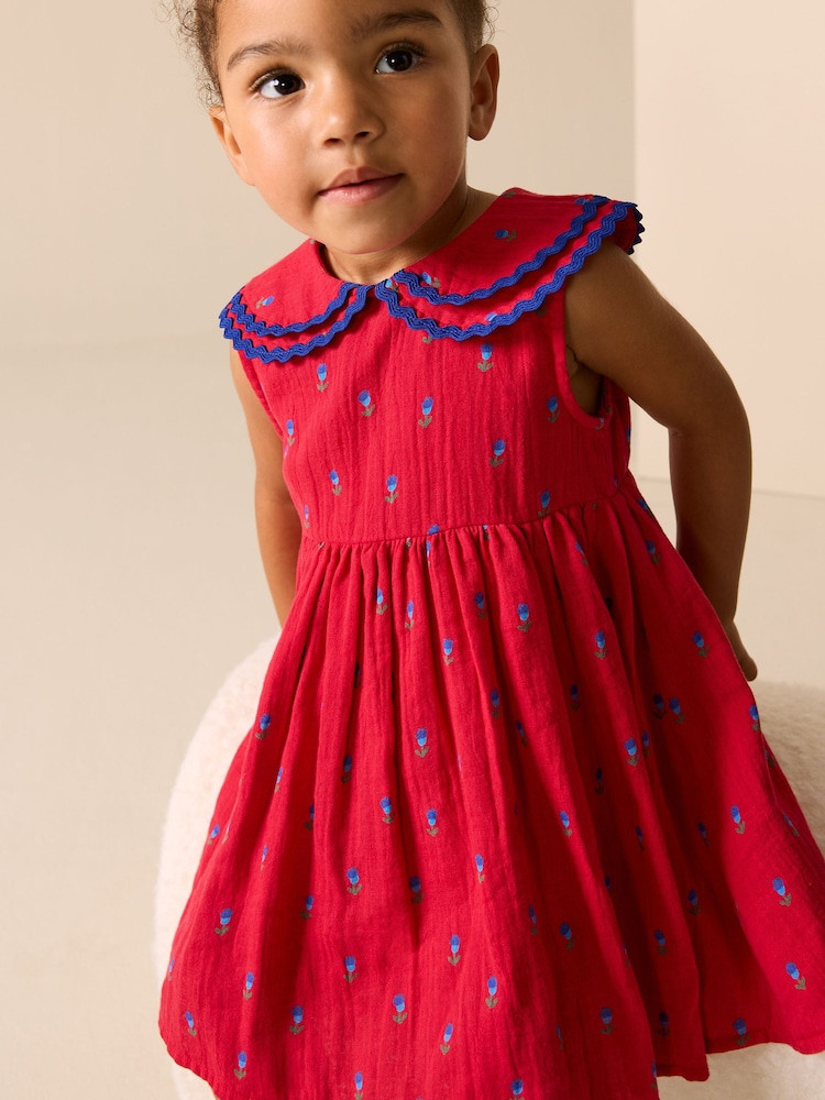 Red Ditsy Ric Rac Collar Dress (3mths-8yrs) | Next US