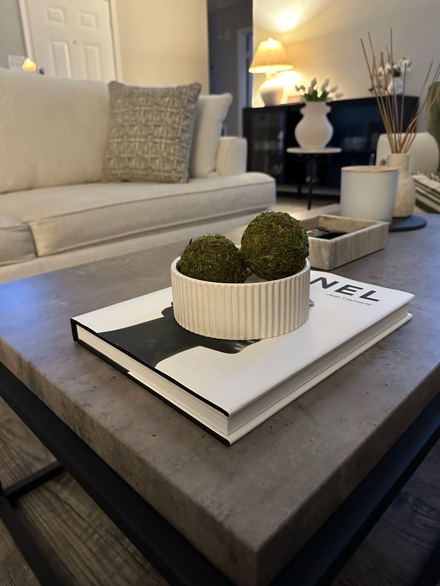Modern coffee table decor

Books, candles and greenery are great additions to your coffee table for warm & cozy vibes! 

#coffeetabledecor #moderndecor 

#LTKHome #LTKStyleTip #LTKSaleAlert