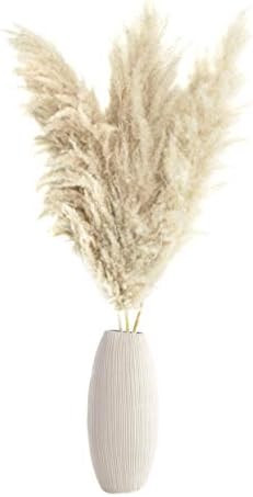 ROOMSOAR Dried Pampas Grass Decor Tall Fluffy 48" Natural Beige Large Feather Decor for Vase Boho... | Amazon (US)