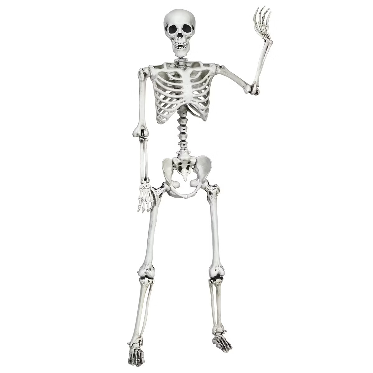 Costway Halloween Skeleton Life Size Realistic Full Body Hanging with Movable Joints | Target