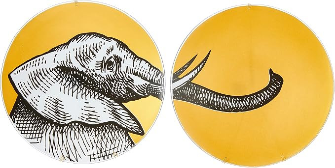 Conj. 02 Pratos De Vidros Com Suporte - Elefante | Amazon (BR)