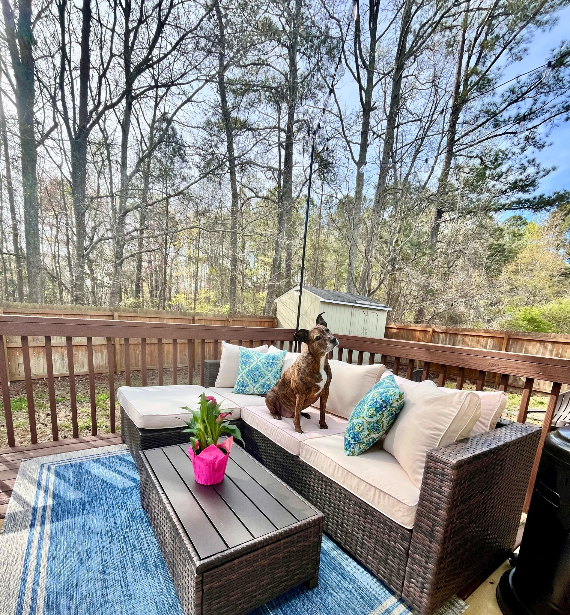 outdoor sectional & summer weather 🌞

#LTKhome #LTKsalealert