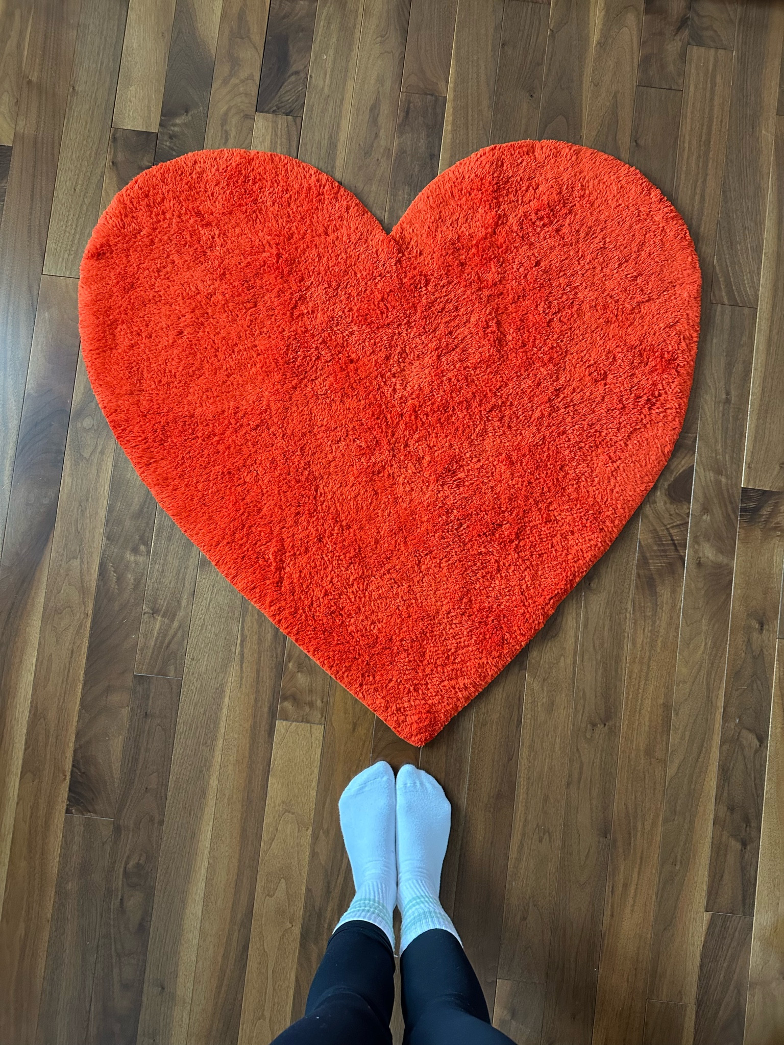 Heart rug

#LTKcasa #LTKstyletip #LTKcanada