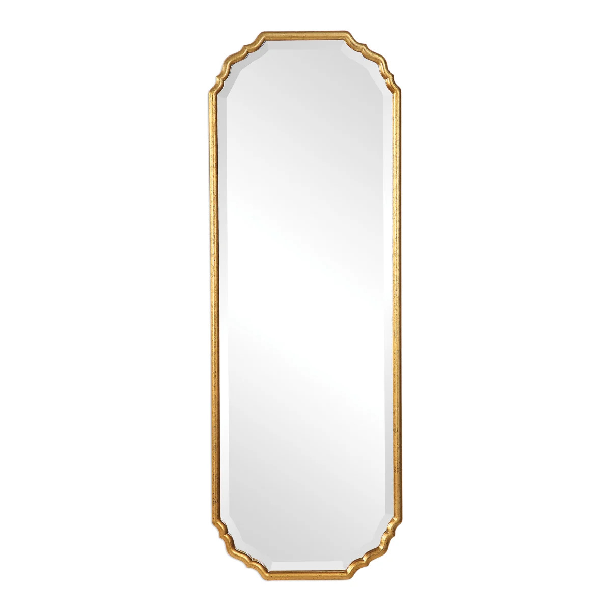 62" x 22" Full Length Mirror | Build.com, Inc.