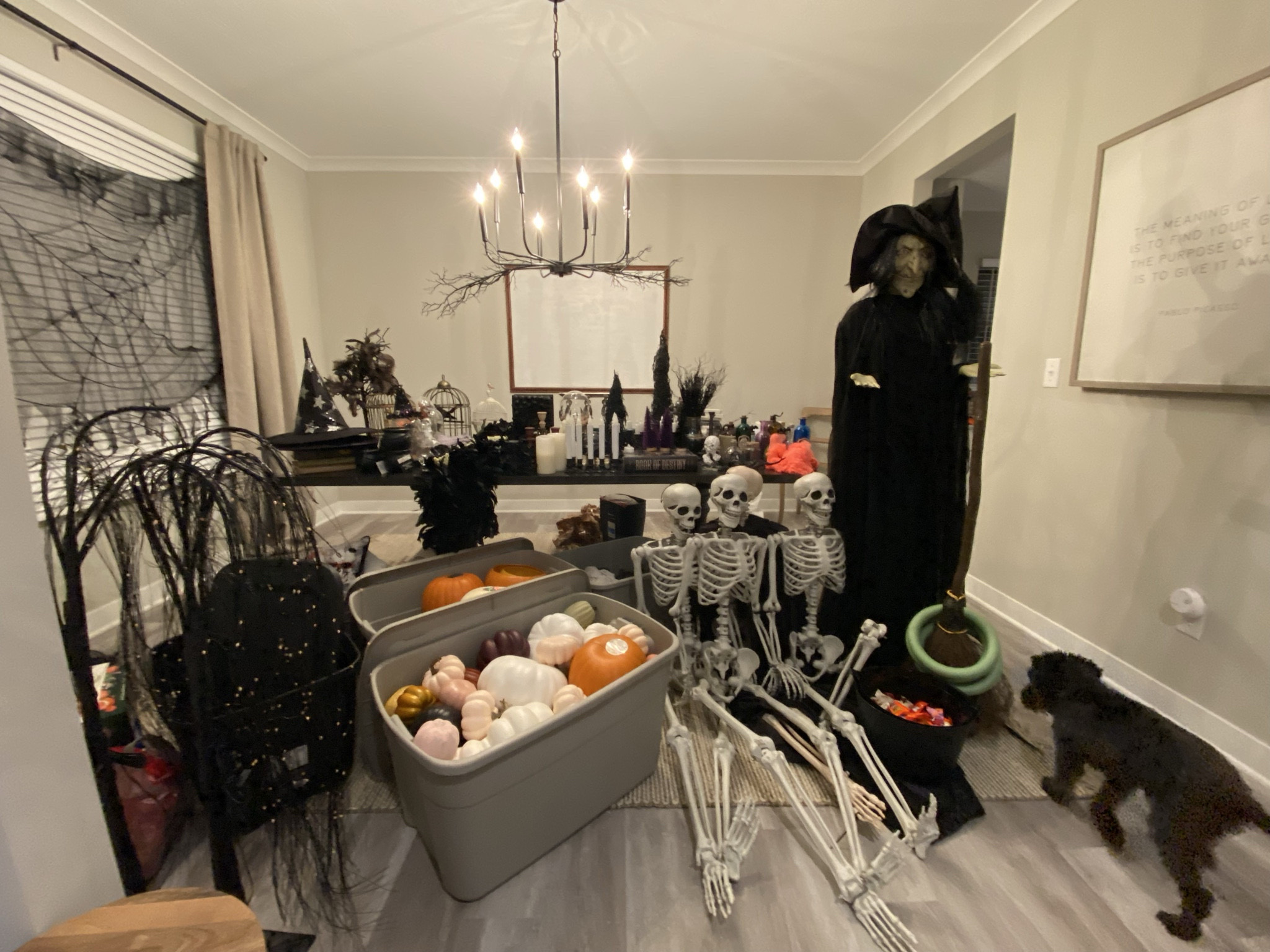 Is it time yet?!  
I think so… 
#halloween #halloweendecor #halloweeniscoming

#LTKSeasonal #LTKHome #LTKmomlife