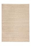 Anji Mountain Madeleine Wool and Jute Rug, 5 x 8-Feet, Tan/Gray | Amazon (US)