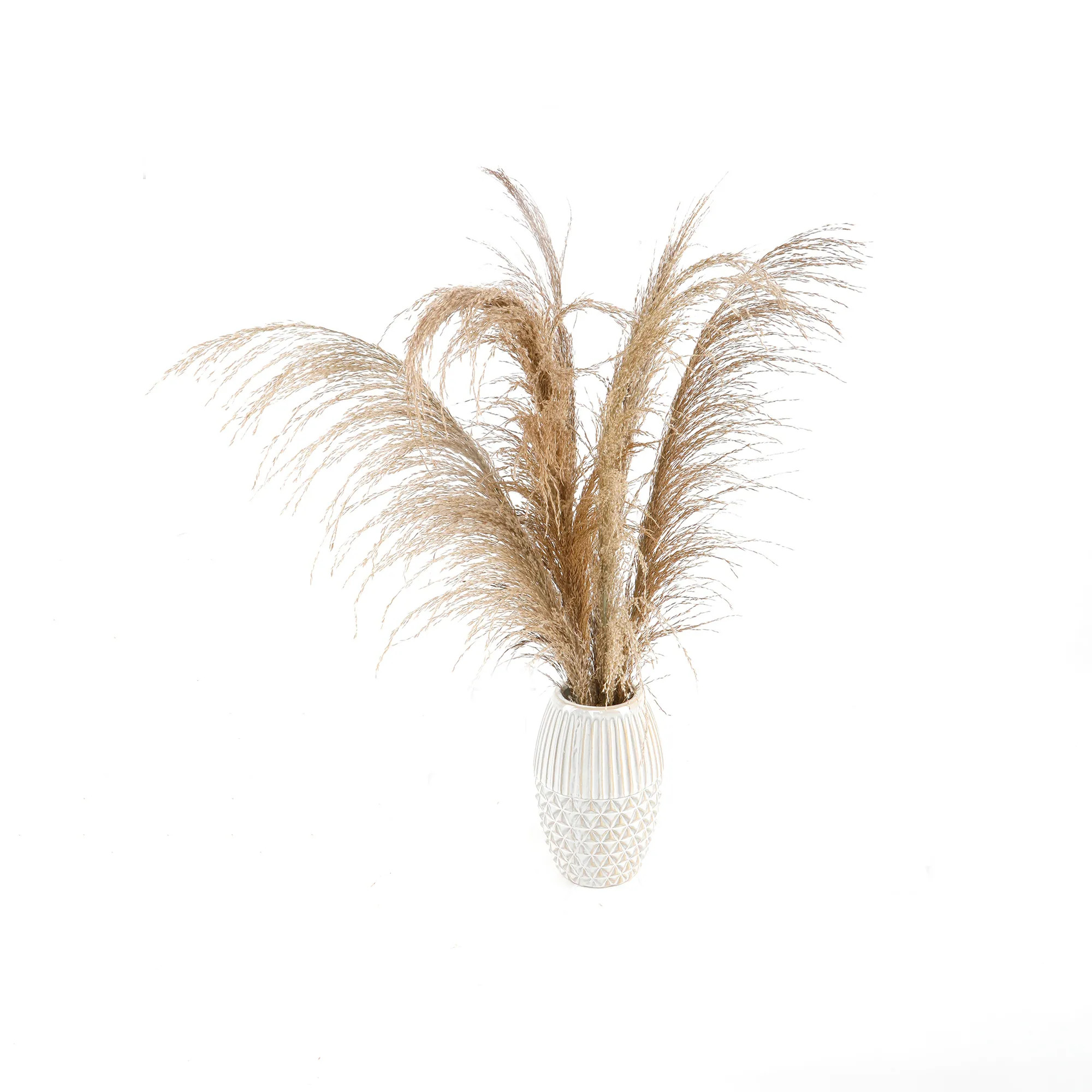 26"H Pampas Grass In 5.5"D X 8"H Ceramic Vase 5.5X5.5X8 | Bed Bath & Beyond