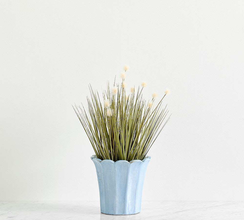 Small Potted Dandelion Grass | Pottery Barn (US)
