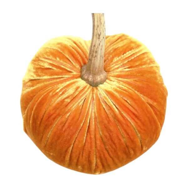 Hot Skwash | Maisonette