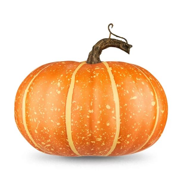 Harvest 6 in Small Natural Short Orange Foam Pumpkin Decoration, Way to Celebrate - Walmart.com | Walmart (US)