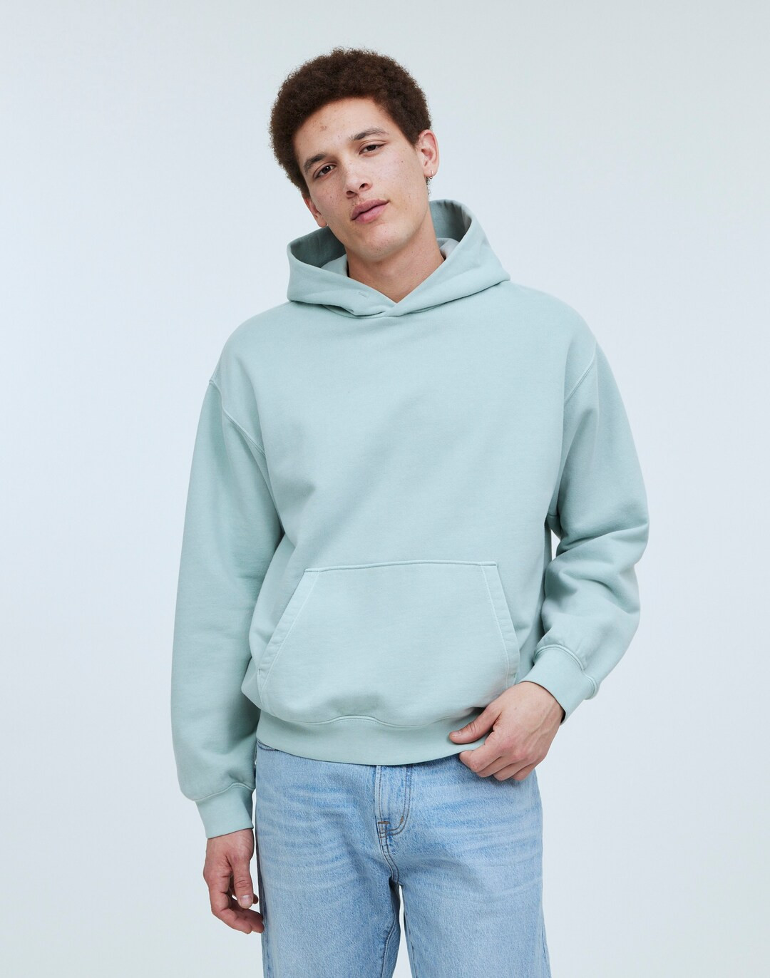 The McCarren Midweight Hoodie Sweatshirt | Madewell