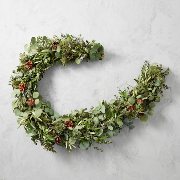 Jeff Leatham Sonoma Winter Classic Garland, 6' | Williams-Sonoma