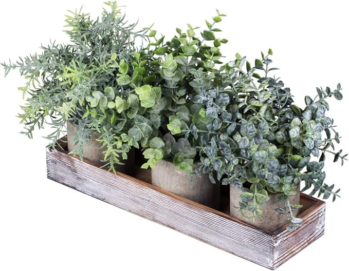 Set of 3 Mini Potted Artificial Eucalyptus Plants Faux Rosemary Plant Assortment with Wood Plante... | Amazon (US)