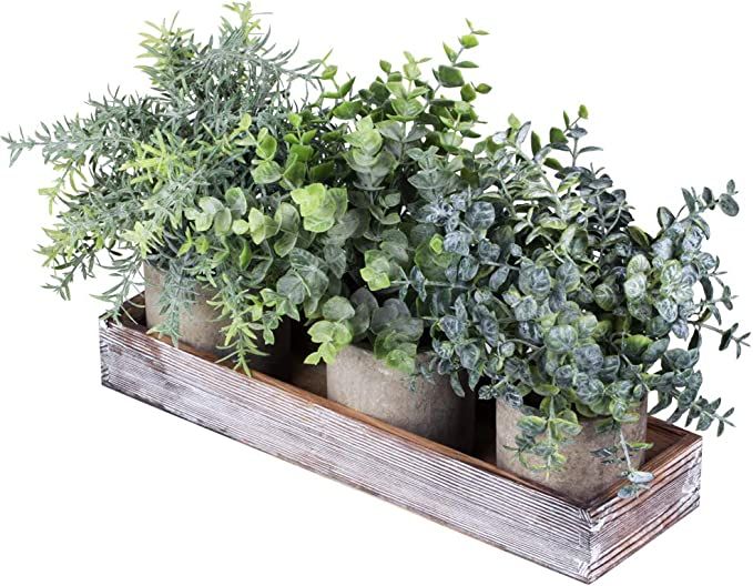 Set of 3 Mini Potted Artificial Eucalyptus Plants Faux Rosemary Plant Assortment with Wood Plante... | Amazon (US)