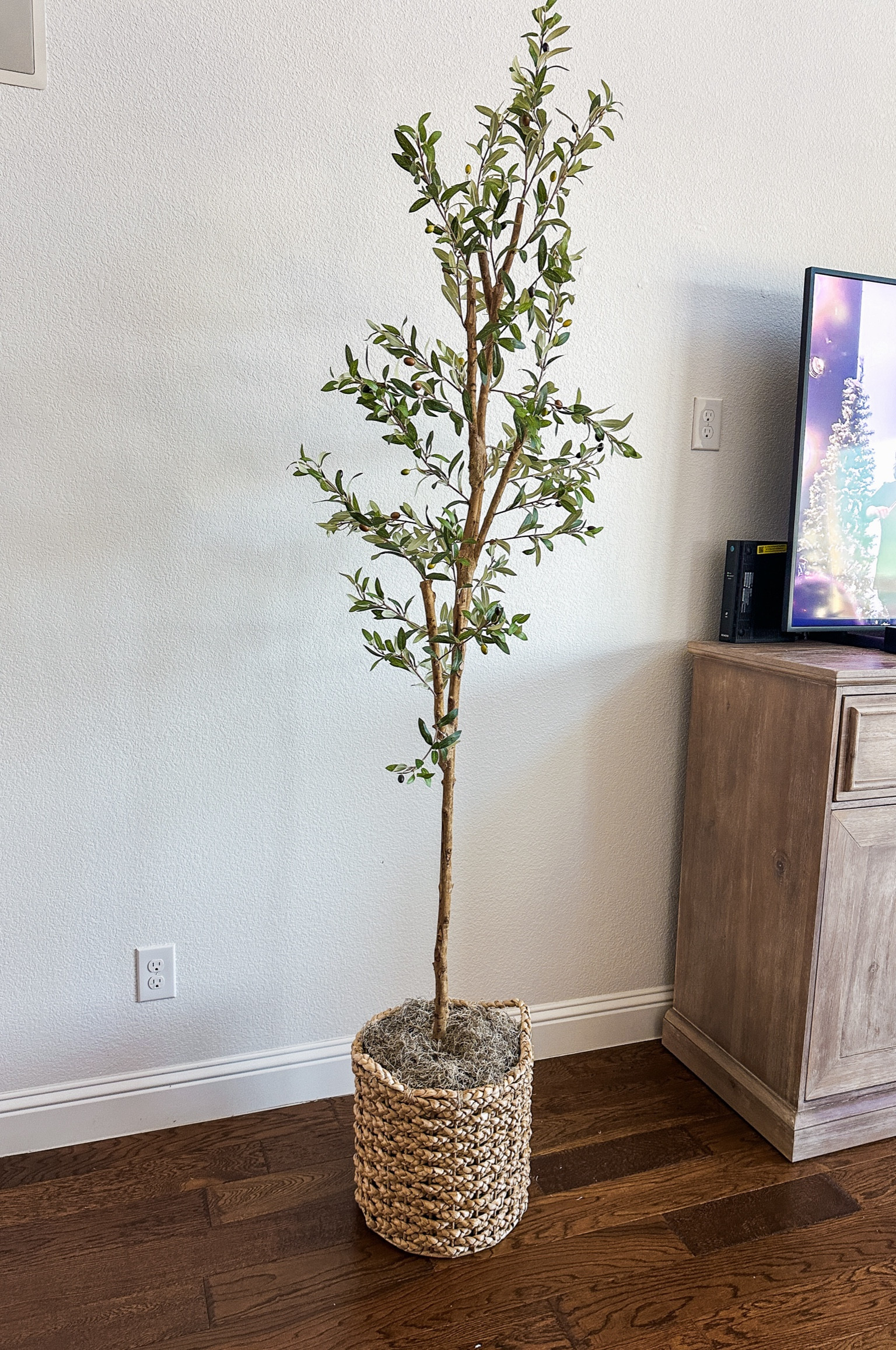 Faux - fake Olive tree with moss and woven decorative tree basket 