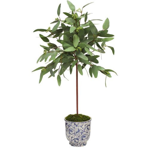 30" Long Eucalyptus in Cachepot | One Kings Lane