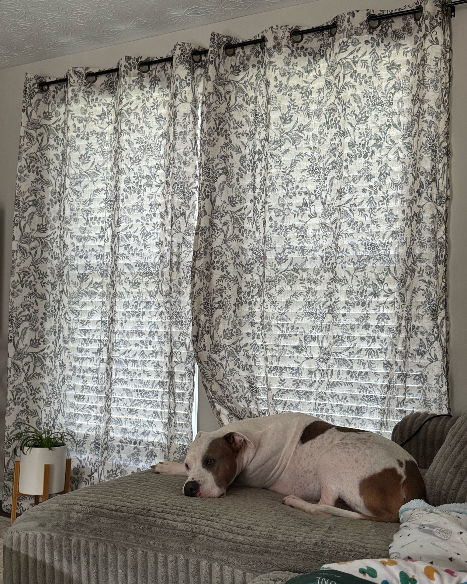 Beautiful sheer living room curtains! 
Home