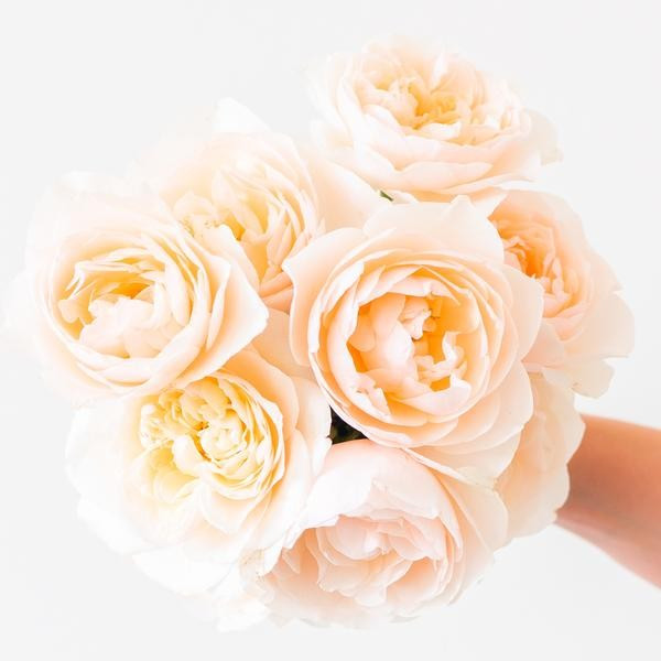 Lichfield Angel Bouquet | Grace Rose Farm