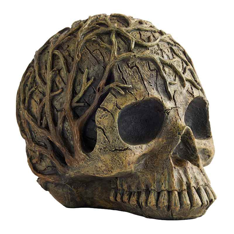 Brown Tree Root Skull, 7" | At Home