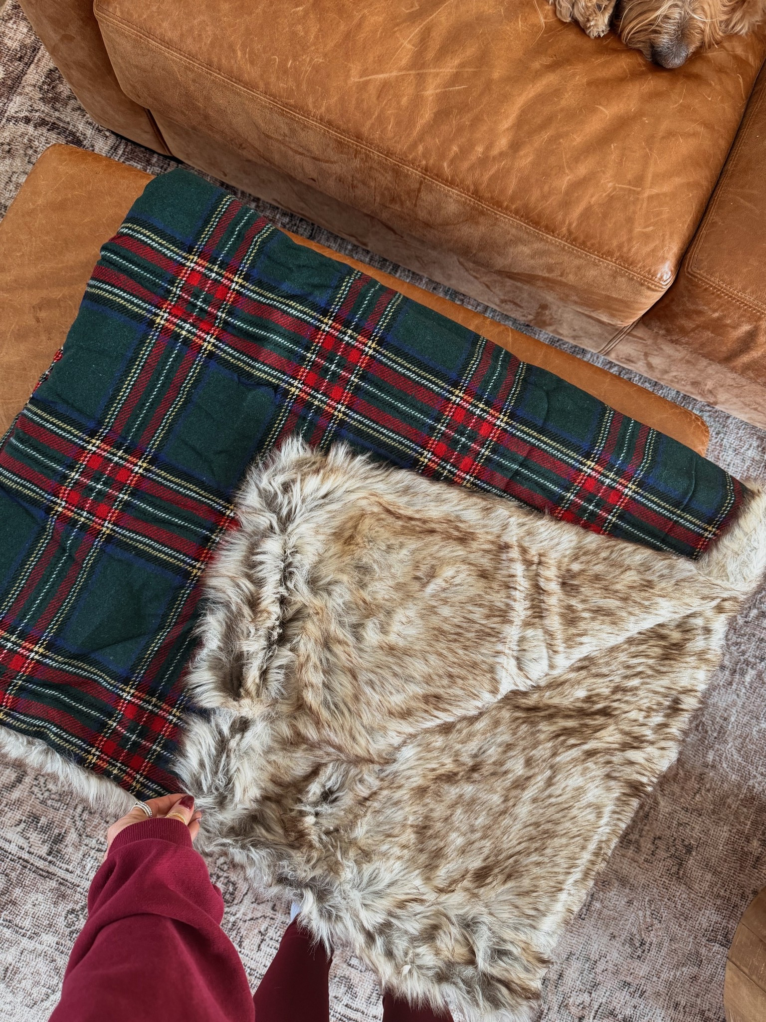 Ralph Lauren Holiday Christmas decor 

#LTKHome #LTKHoliday #LTKSeasonal