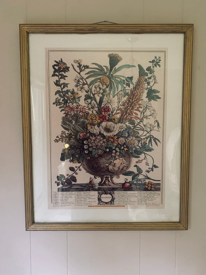 12 Months of Flowers Vintage Large Framed Print-december - Etsy | Etsy (US)