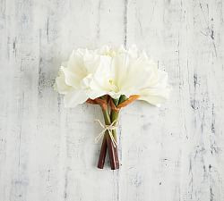 Faux Amaryllis Bundle - White | Pottery Barn (US)