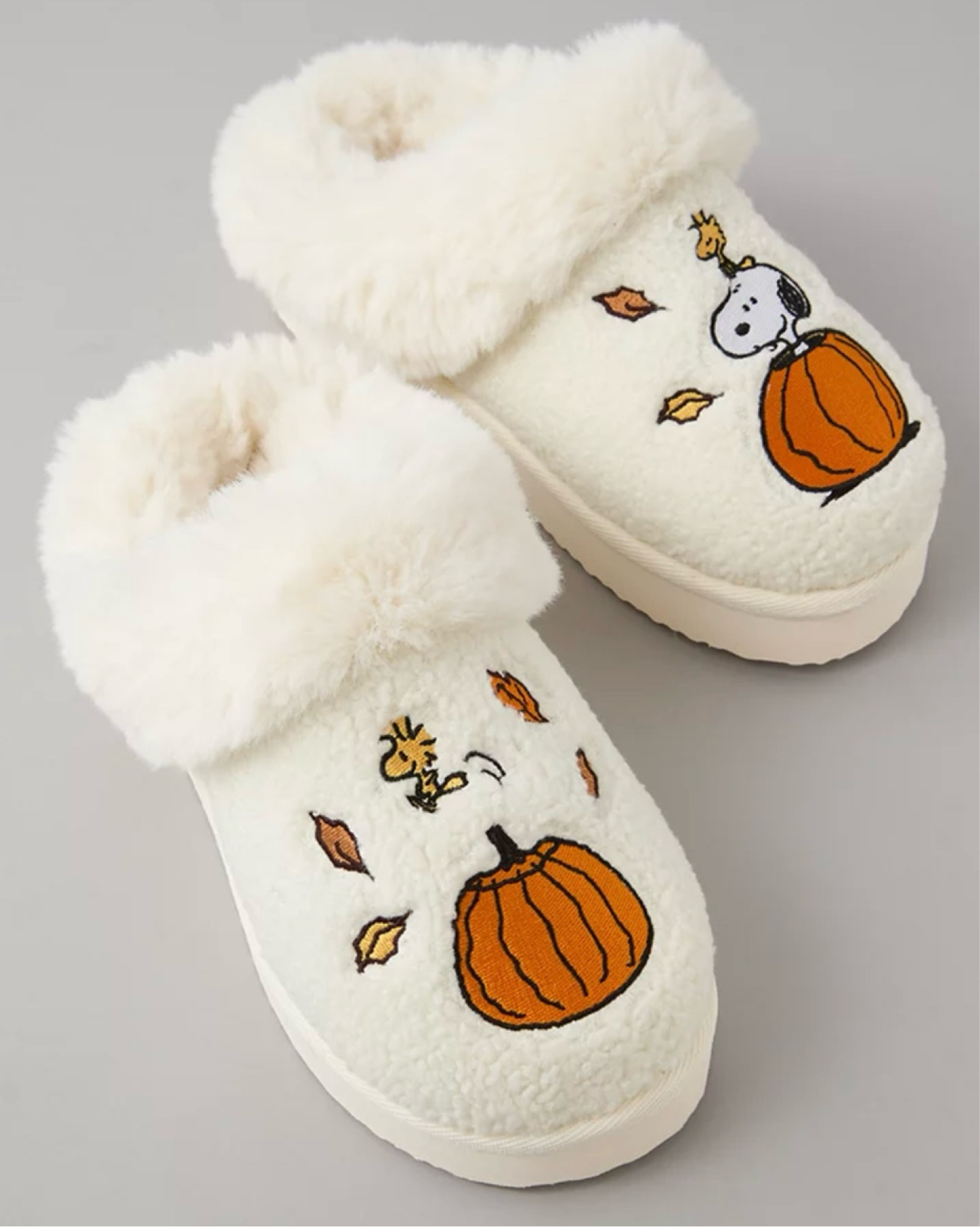 peanuts halloween slippers, house shoes, spooky season, charlie brown snoopy woodstock pumpkin 

#LTKFindsUnder100 #LTKFindsUnder50 #LTKSeasonal